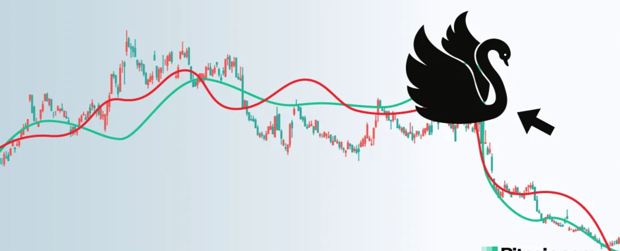 Cover Image for Cisne Negro: Compreendendo o Improvável no Mercado Financeiro